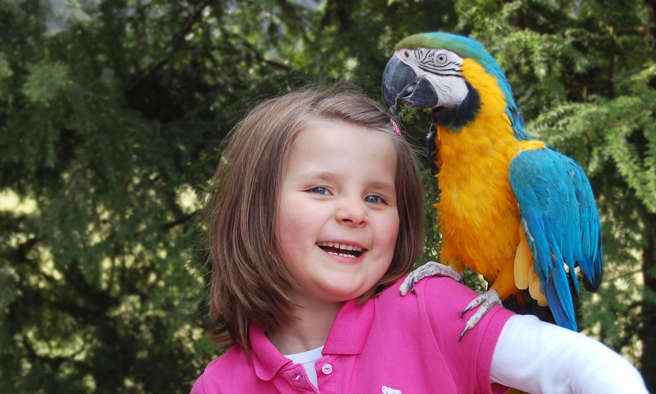 vogelpark-heiligenkirchen-gutscheinbox-maedchen-papagei