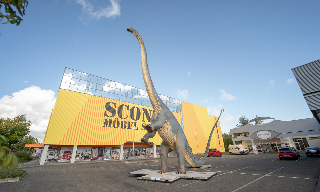 Gutscheinbox Werbegemeinschaft Paderborn Dinosaurier