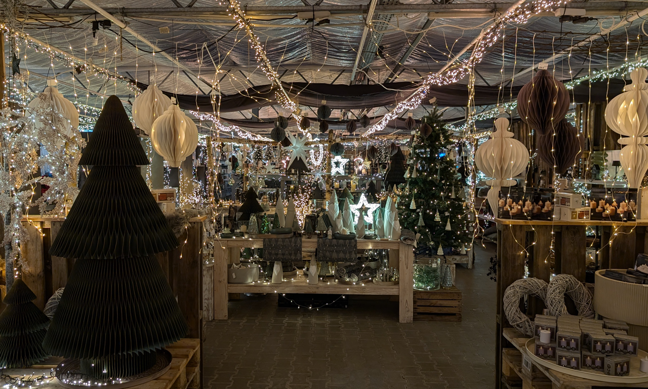 Gutscheinbox Gärtnerei Neiske weihanchtliche Beleuchtung