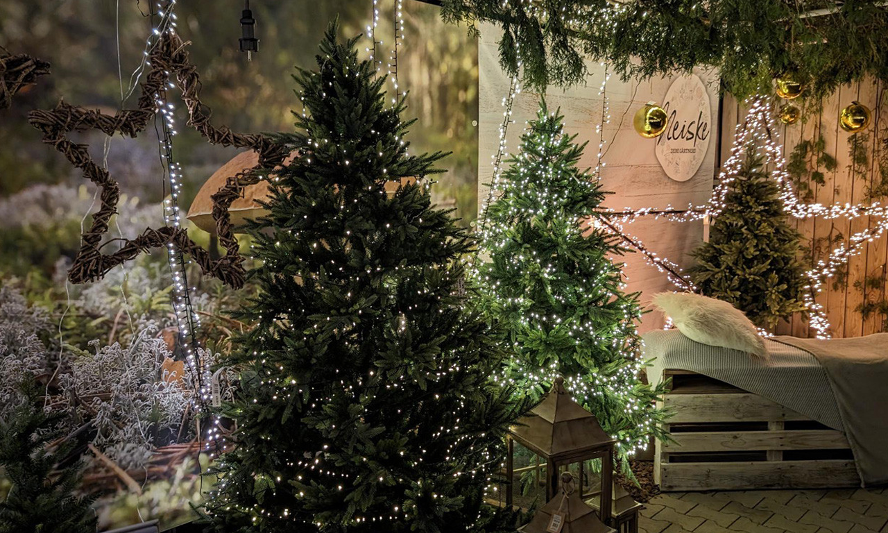 Gutscheinbox Gärtnerei Neiske Tannenbäume